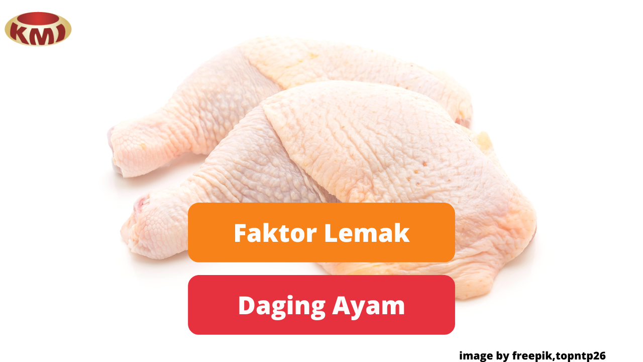 Berikut Faktor Yang Mempengaruhi Lemak Daging Ayam